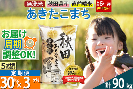 無洗米 《定期便3ヶ月》令和5年産 新米受付 秋田県産 あきたこまち