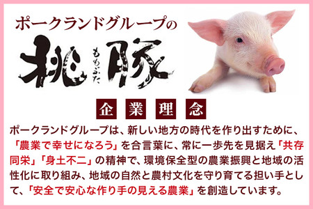 桃豚冷凍おもてなしセット 豚肉 秋田県 小坂町