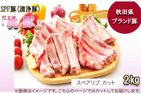 桃豚スペアリブ 2kg【カット】豚肉 秋田県 小坂町