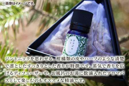 ウラジロモミ精油 1ml <クロネコゆうパケット>