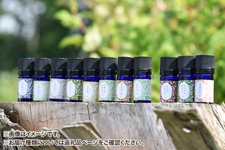 ヒノキ精油 5ml