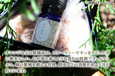 イトヒバ精油 1ml <クロネコゆうパケット>