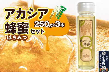 はちみつ アカシア蜂蜜セット（250g×3本）国産 秋田県小坂町