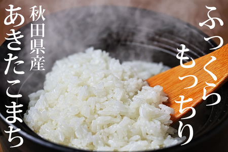 《令和6年産 新米》《定期便5ヶ月》秋田県産 あきたこまち 10kg(10kg×1袋)×5回【白米】計50kg 令和6年産