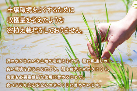 《定期便5ヶ月》【玄米】あきたこまち 5kg 秋田県産 令和5年産  こまちライン