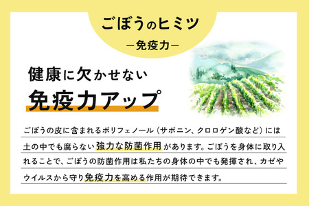 スッキリゴボウチャ ティーパックタイプ (1.5g×10包×3袋) ゆうパケット
