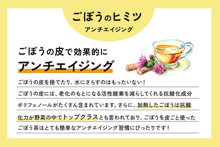 スッキリゴボウチャ ティーパックタイプ (1.5g×10包×3袋) ゆうパケット