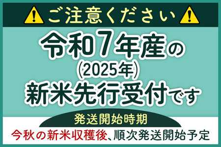 《新米先行受付》《定期便7ヶ月》あきたこまち【無洗米】3kg 秋田県産 令和7年産 こまちライン