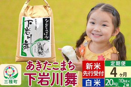 《4ヶ月定期便》【白米】秋田県三種町産 あきたこまち 20kg (10kg×2袋) 令和4年産 下岩川舞 石井漠 をどるばか オリジナルラベル