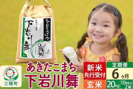 《6ヶ月定期便》【玄米】秋田県三種町産 あきたこまち 20kg (10kg×2袋) 令和4年産 下岩川舞 石井漠 をどるばか オリジナルラベル