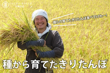 でんがく味噌付ききりたんぽ 2本入×8セット