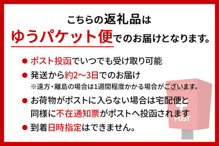 秋田県三種町産 ごぼう茶 ティーパックタイプ （1.5g×15包）×2袋 ゆうパケット