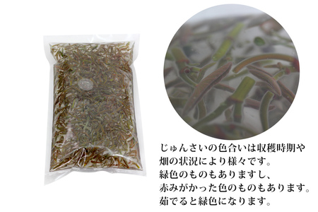 特選生じゅんさい200g ゆずタレ1個 《冷蔵》（2026年5月上旬頃～7月下旬までに発送予定） 令和8年産 2026年産 先行受付  秋田県産 三種町産