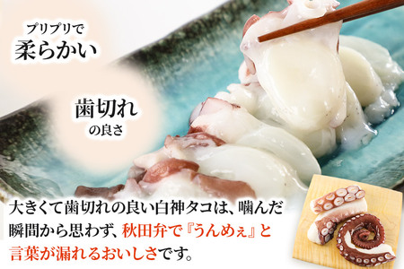 白神タコ ボイル 約1kg(2~3パック)冷凍 秋田県八峰町沖産