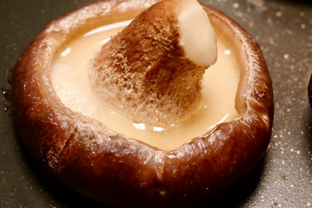 秋田県八峰町産 ブランド椎茸「黒椎茸」3個入×2パック(約540g)