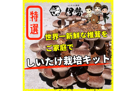 椎茸栽培キット「きのこ玉手箱」約3kg ブロック×2個