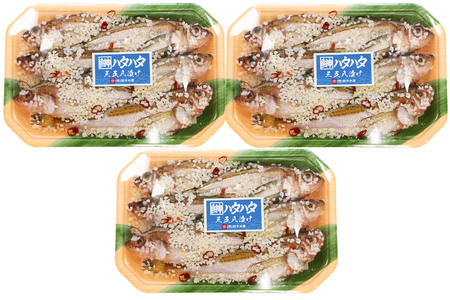 三五八漬（ハタハタ）200g入りパック×3個 はたはた 鰰 頭つき 三五八漬 三五八漬け 鈴木水産 秋田県 八峰町