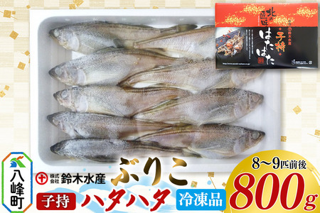 子持ち ハタハタ ブリコ ぶりこ メス 800g（8～9匹前後）冷凍品 はたはた 鰰 子持ちハタハタ 子持ちはたはた 鈴木水産 秋田県 [ハタハタ はたはた 鰰 子持ち ぶりこ 子持ちハタハタ 子持ちはたはた 急速冷凍 鍋物 鈴木水産 秋田県]