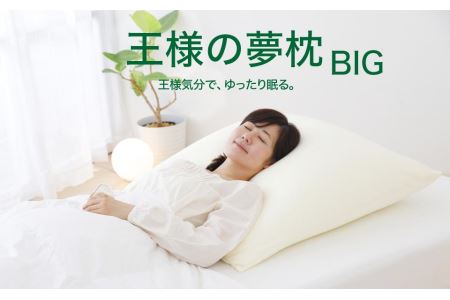 AA013　王様の夢枕 BIG 70×70㎝ 上半身から眠る大きめ枕