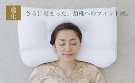 AA156　新・王様の夢枕 低めタイプ (超極小ビーズ素材、専用枕カバー付き)104-000505-100