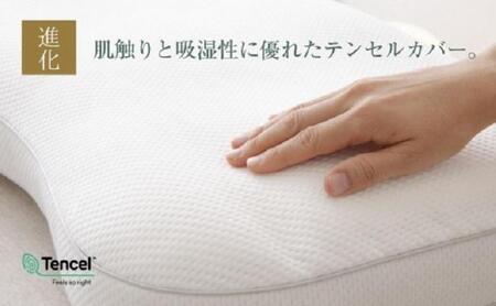 AA156　新・王様の夢枕 低めタイプ (超極小ビーズ素材、専用枕カバー付き)104-000505-100