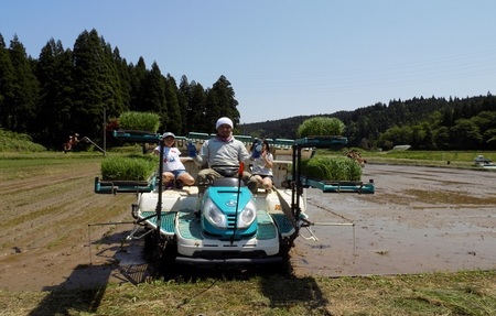 五城目町産 よざえもんの一等米・あきたこまち5kg（精米）【秋田県産】