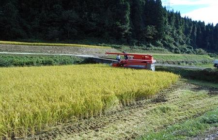 五城目町産 よざえもんの一等米・あきたこまち5kg（精米）【秋田県産】