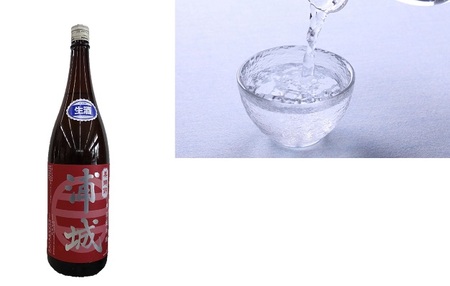 【生酒】純米吟醸無濾過原酒「赤浦城」720ml×1 お酒 日本酒 純米吟醸酒