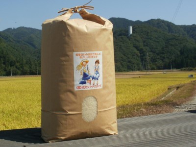 五城目町杉沢産　清流米　あきたこまち10kg（精米）