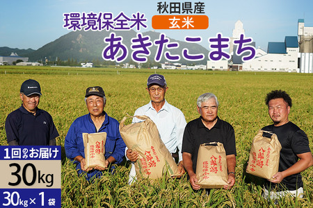 【玄米】令和6年産 秋田県産 あきたこまち 環境保全米 30kg (30kg×1袋) 