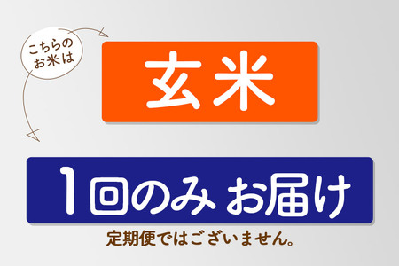 【玄米】令和6年産 秋田県産 あきたこまち 環境保全米 30kg (30kg×1袋) 