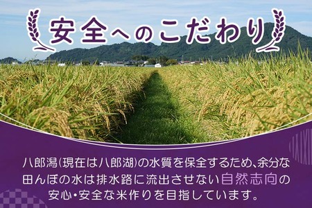 【玄米】令和6年産 秋田県産 あきたこまち 環境保全米 30kg (30kg×1袋) 