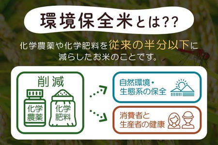 【玄米】令和6年産 秋田県産 あきたこまち 環境保全米 30kg (30kg×1袋) 