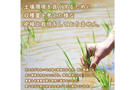 あきたこまち 5kg【無洗米】令和7年産 秋田県産 こまちライン