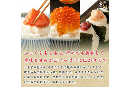 【新米】 あきたこまち 長期保存米 10kg【無洗米】令和7年産 秋田県産 こまちライン