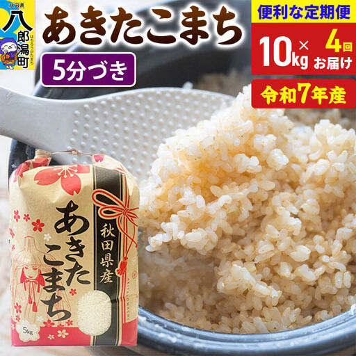 《定期便4ヶ月》 あきたこまち 10kg【5分づき】令和7年産 秋田県産 こまちライン