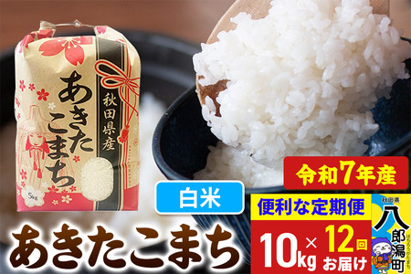 《定期便12ヶ月》 あきたこまち 10kg【白米】令和7年産 秋田県産 こまちライン