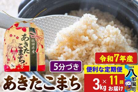 《定期便11ヶ月》 あきたこまち 3kg×1袋【5分づき】令和7年産 秋田県産 こまちライン
