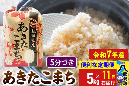 《定期便11ヶ月》 あきたこまち 5kg【5分づき】令和7年産 秋田県産 こまちライン