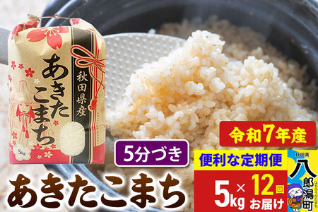 《定期便12ヶ月》 あきたこまち 5kg【5分づき】令和7年産 秋田県産 こまちライン