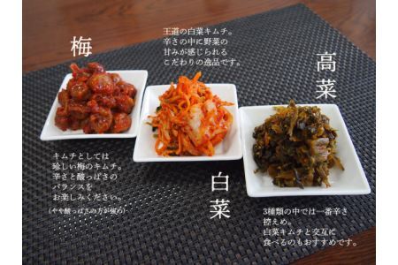 【先行受付2025年12月発送】親がだのキムチ　１００ｇ×３種類（白菜、梅、高菜）