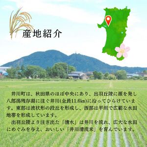 あきたこまち　パックライス　秋田県井川町産　パックご飯