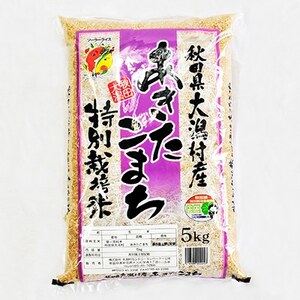【毎月定期便】【玄米】あきたこまち特別栽培米5kg全10回【4009278】