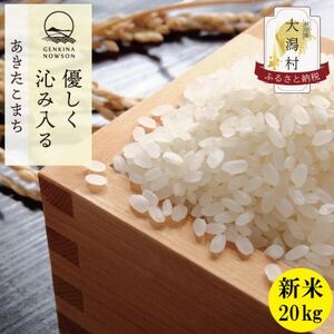 〈 新米先行受付〉【令和6年産】秋田県産 あきたこまち 白米 20kg(5kg×4袋)【配送不可地域：離島・沖縄県】【1519353】