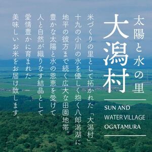 〈 新米先行受付〉【令和6年産】秋田県産 あきたこまち 無洗米 20kg(5kg×4袋)【配送不可地域：離島・沖縄県】【1519359】