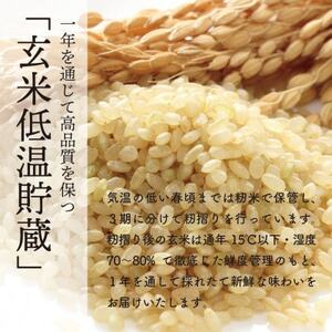 〈新米先行受付〉【令和6年産】秋田県産 あきたこまち 玄米 30kg【配送不可地域：離島・沖縄県】【1519384】