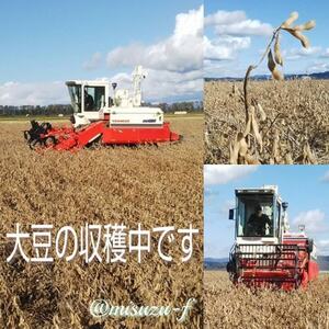 みすずのこいくち醤油　6本【配送不可地域：離島・沖縄県】【1506407】