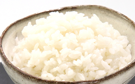 サキホコレ特別栽培米使用 パックライス180g3個パック×8袋セット【配送不可地域:離島・沖縄県】【1524057】