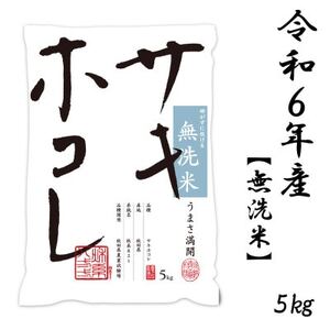 新米予約受付開始!サキホコレ 5kg 無洗米 令和6年産 11月初旬～発送予定【配送不可地域：離島・沖縄県】【1549404】