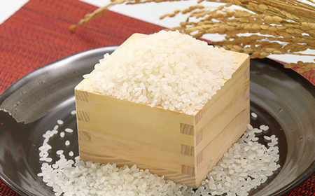 あきたこまち精米5kg【配送不可地域：離島・沖縄県】【1595355】